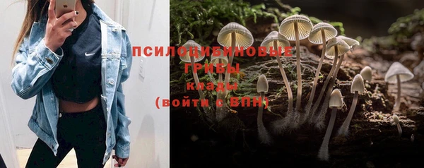 mdma Михайловка