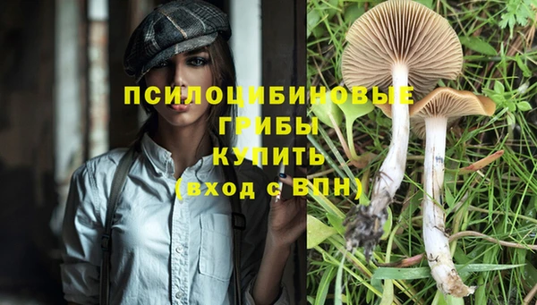 не бодяженный Великий Новгород
