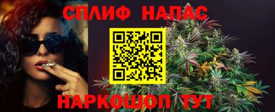 СК Абинск