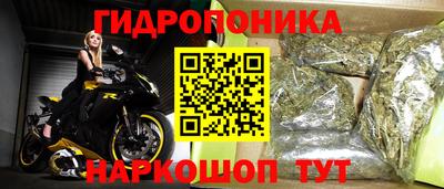 СК Абинск