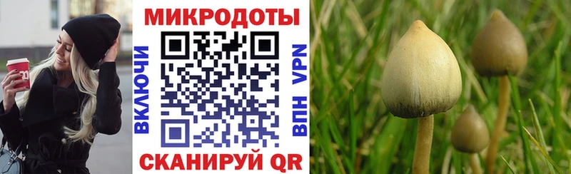 Галлюциногенные грибы Cubensis  МЕГА онион  Оренбург 