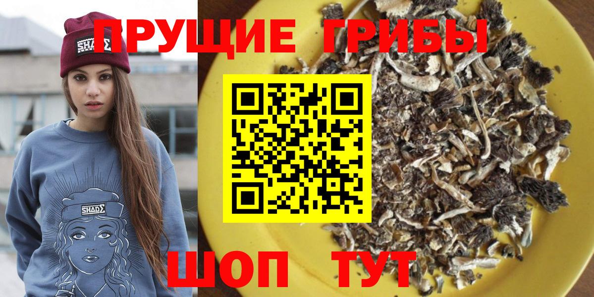 Оренбург  Псилоцибиновые грибы прущие грибы  Псилоцибиновые грибы Psilocybe  Вход с VPN 