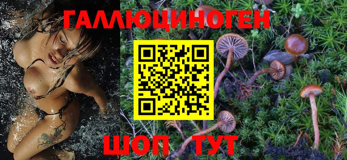Псилоцибиновые грибы GOLDEN TEACHER  Вход с VPN  Оренбург 