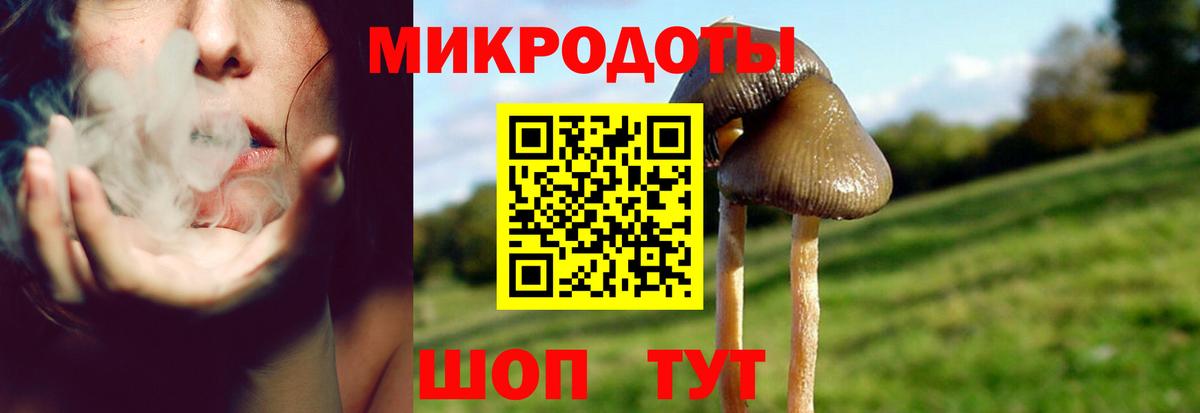 Галлюциногенные грибы Magic Shrooms Оренбург
