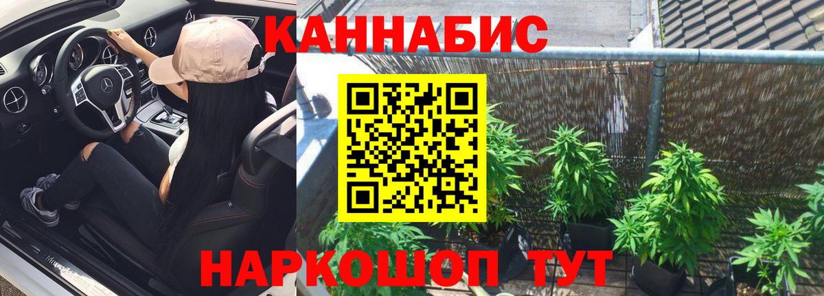 Шишки марихуана гибрид  МАРИХУАНА Amnesia  Канабис план  Вход с VPN  Оренбург  МАРИХУАНА MAZAR 